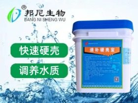 速補(bǔ)外殼寶